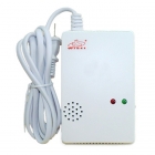 艾禮富 WS-881 獨立燃?xì)馓綔y器